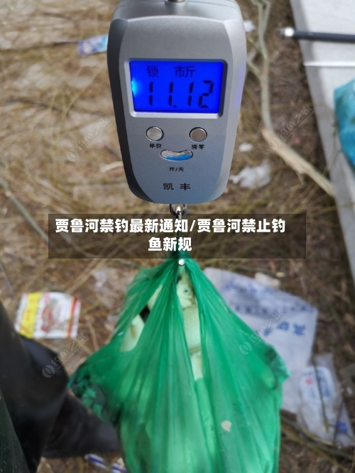 贾鲁河禁钓最新通知/贾鲁河禁止钓鱼新规-第2张图片