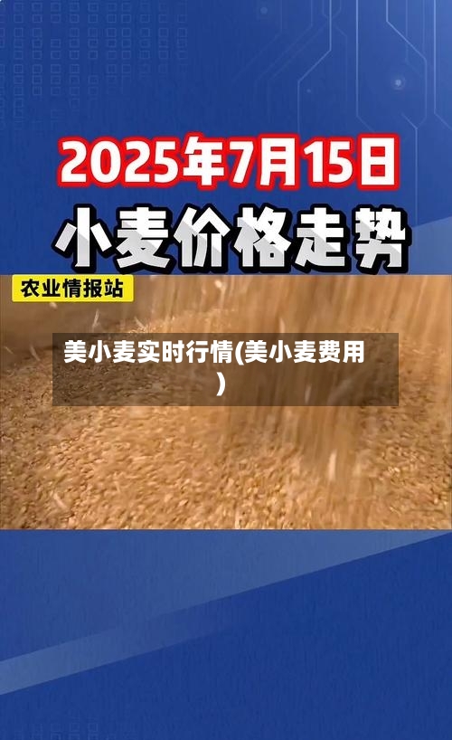 美小麦实时行情(美小麦费用)-第2张图片
