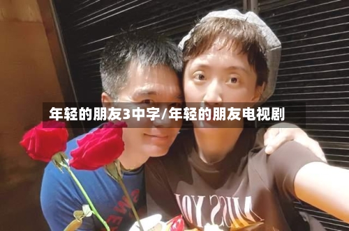 年轻的朋友3中字/年轻的朋友电视剧-第2张图片
