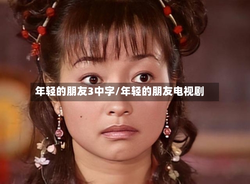 年轻的朋友3中字/年轻的朋友电视剧