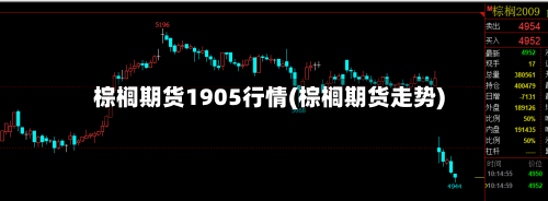 棕榈期货1905行情(棕榈期货走势)-第2张图片