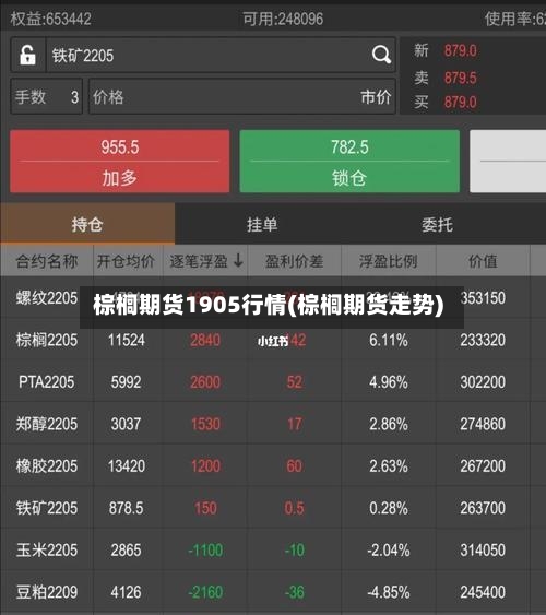棕榈期货1905行情(棕榈期货走势)-第3张图片