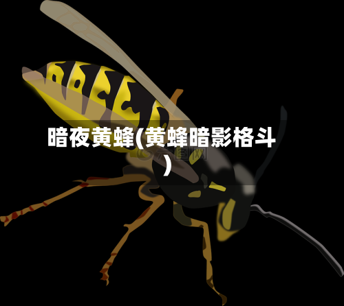 暗夜黄蜂(黄蜂暗影格斗)