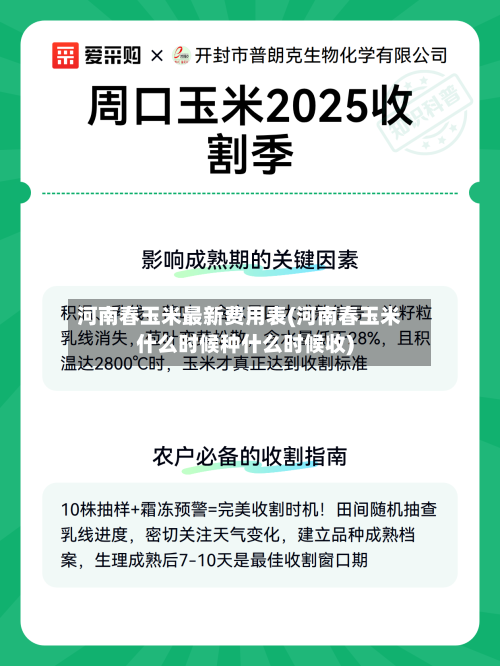 河南春玉米最新费用表(河南春玉米什么时候种什么时候收)