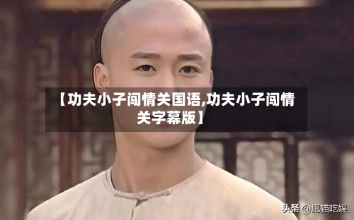 【功夫小子闯情关国语,功夫小子闯情关字幕版】-第2张图片