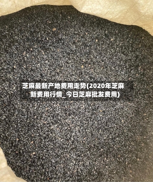 芝麻最新产地费用走势(2020年芝麻新费用行情_今日芝麻批发费用)-第2张图片