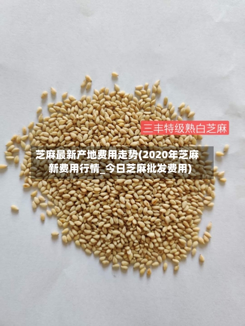 芝麻最新产地费用走势(2020年芝麻新费用行情_今日芝麻批发费用)-第3张图片