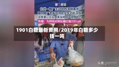 1901白糖最新费用/2019年白糖多少钱一吨-第3张图片