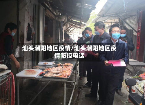 汕头潮阳地区疫情/汕头潮阳地区疫情防控电话-第2张图片