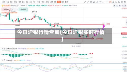 今日沪银行情查询(今日沪银实时行情)-第3张图片