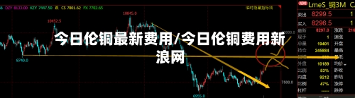 今日伦铜最新费用/今日伦铜费用新浪网-第2张图片