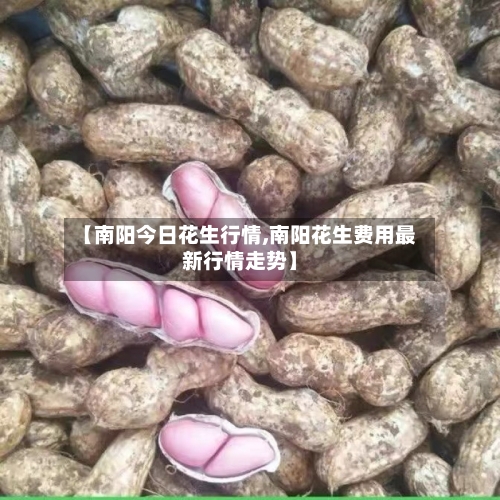 【南阳今日花生行情,南阳花生费用最新行情走势】