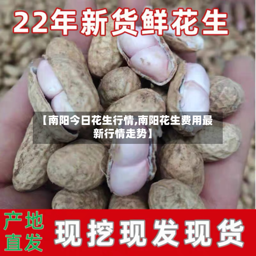 【南阳今日花生行情,南阳花生费用最新行情走势】-第2张图片