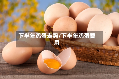 下半年鸡蛋走势/下半年鸡蛋费用-第2张图片