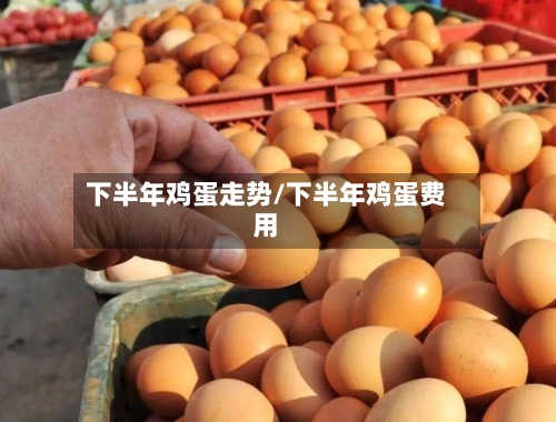 下半年鸡蛋走势/下半年鸡蛋费用