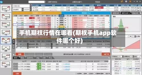 手机期权行情在哪看(期权手机app软件哪个好)