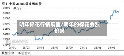 明年棉花行情展望/明年的棉花会涨价吗-第2张图片