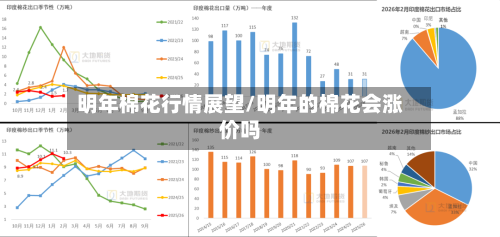 明年棉花行情展望/明年的棉花会涨价吗-第3张图片