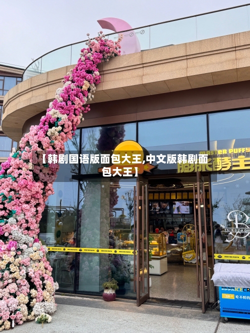 【韩剧国语版面包大王,中文版韩剧面包大王】