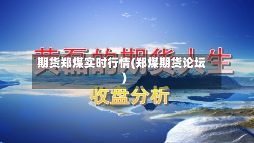 期货郑煤实时行情(郑煤期货论坛)