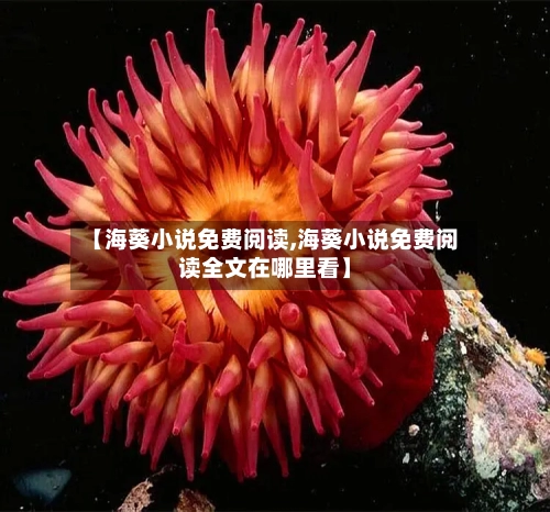 【海葵小说免费阅读,海葵小说免费阅读全文在哪里看】