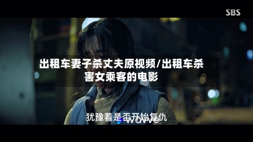 出租车妻子杀丈夫原视频/出租车杀害女乘客的电影-第2张图片