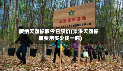 版纳天然橡胶今日胶价(景洪天然橡胶费用多少钱一吨)