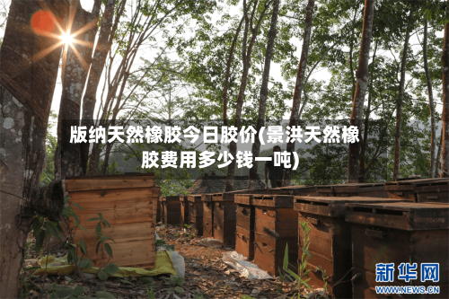 版纳天然橡胶今日胶价(景洪天然橡胶费用多少钱一吨)-第2张图片