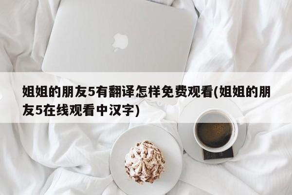 姐姐的朋友5有翻译怎样免费观看(姐姐的朋友5在线观看中汉字)
