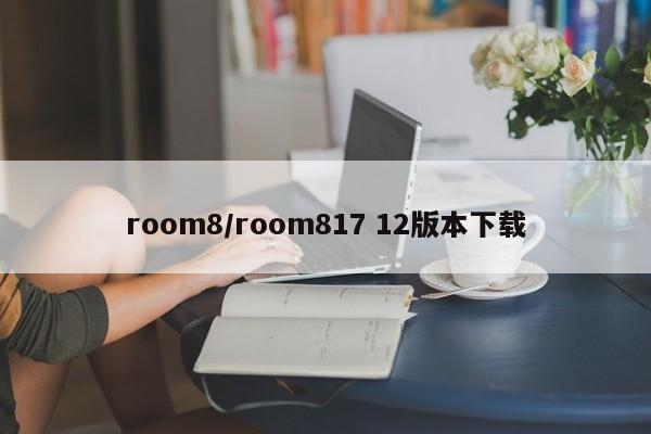 room8/room817 12版本下载