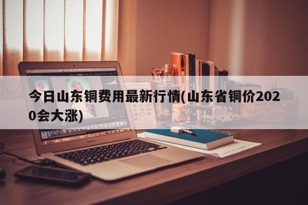 今日山东铜费用最新行情(山东省铜价2020会大涨)