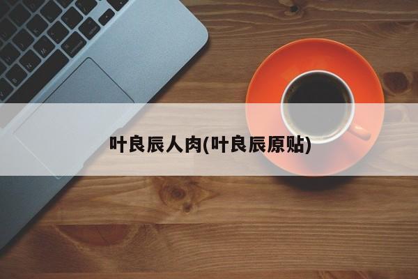 叶良辰人肉(叶良辰原贴)