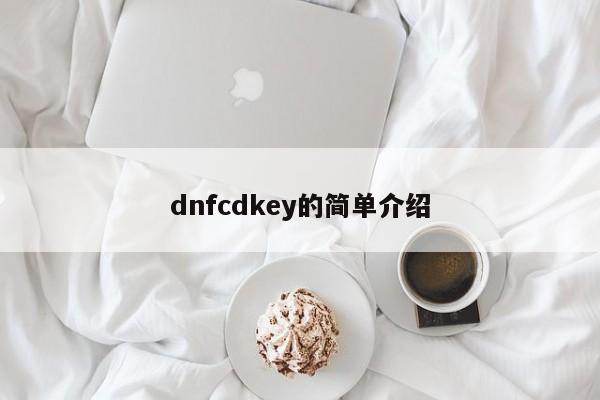 dnfcdkey的简单介绍