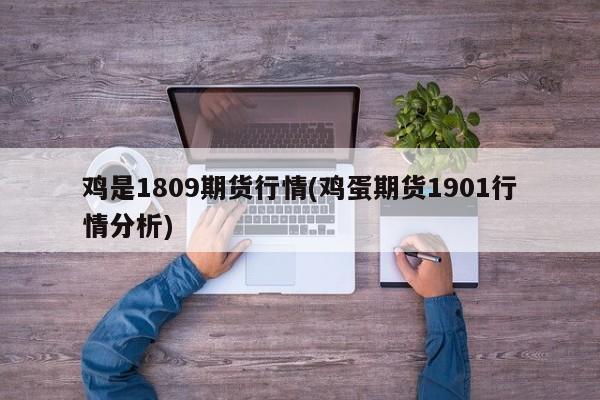 鸡是1809期货行情(鸡蛋期货1901行情分析)