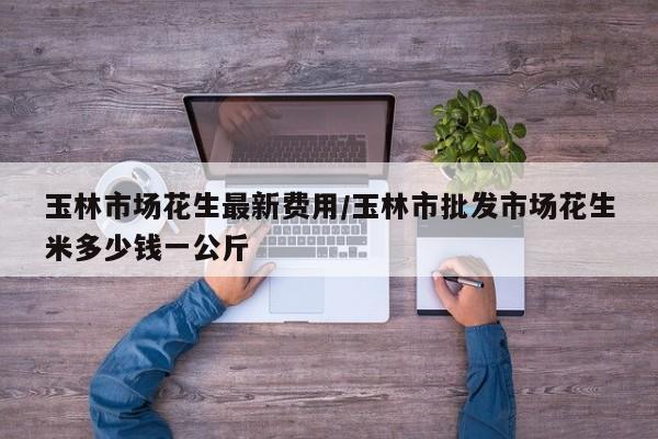 玉林市场花生最新费用/玉林市批发市场花生米多少钱一公斤