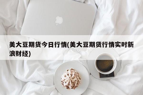 美大豆期货今日行情(美大豆期货行情实时新浪财经)