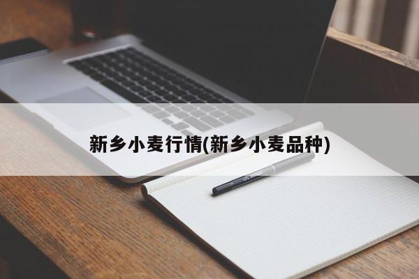 新乡小麦行情(新乡小麦品种)