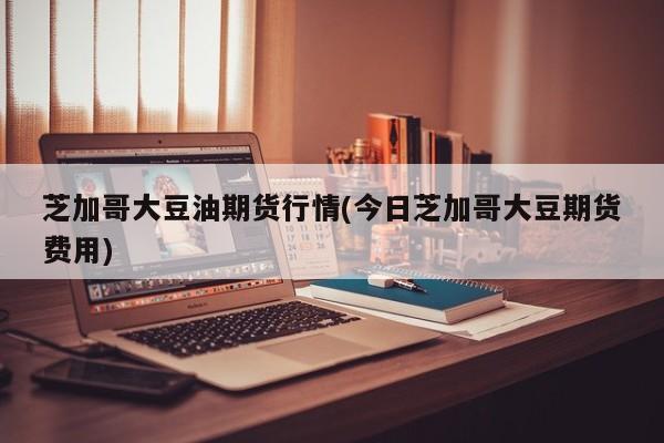 芝加哥大豆油期货行情(今日芝加哥大豆期货费用)