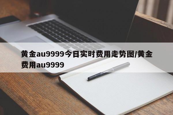 黄金au9999今日实时费用走势图/黄金费用au9999