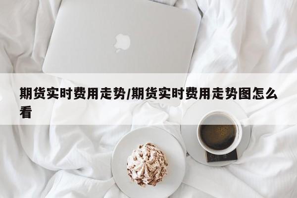 期货实时费用走势/期货实时费用走势图怎么看