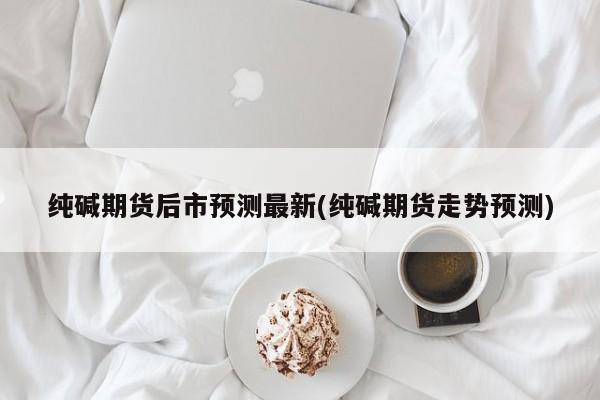 纯碱期货后市预测最新(纯碱期货走势预测)