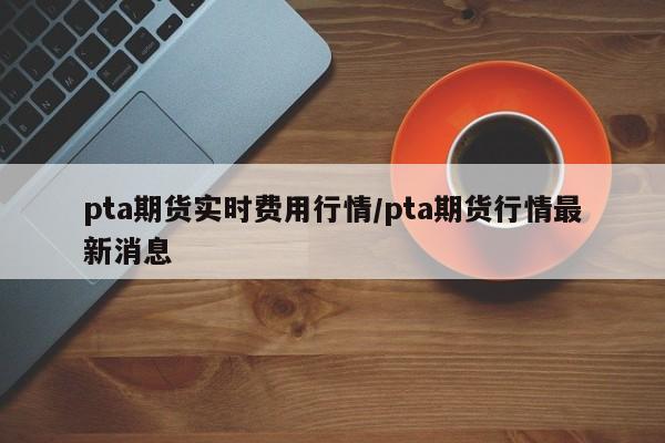 pta期货实时费用行情/pta期货行情最新消息
