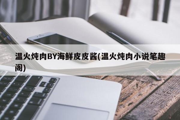 温火炖肉BY海鲜皮皮酱(温火炖肉小说笔趣阁)