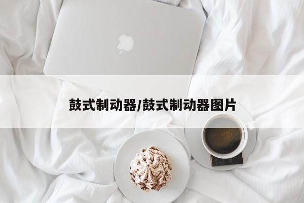 鼓式制动器/鼓式制动器图片