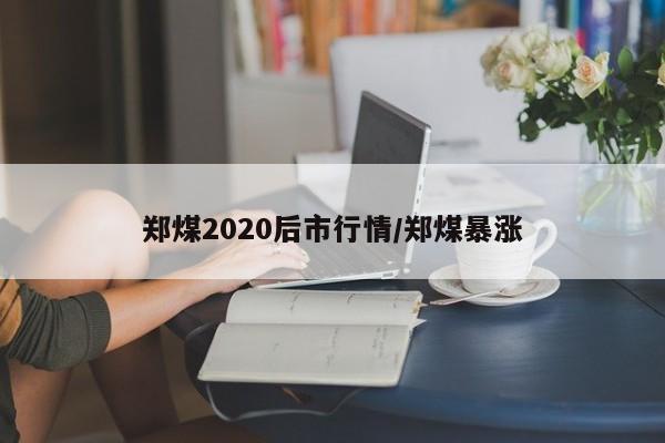 郑煤2020后市行情/郑煤暴涨