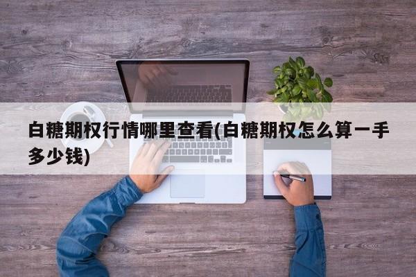 白糖期权行情哪里查看(白糖期权怎么算一手多少钱)