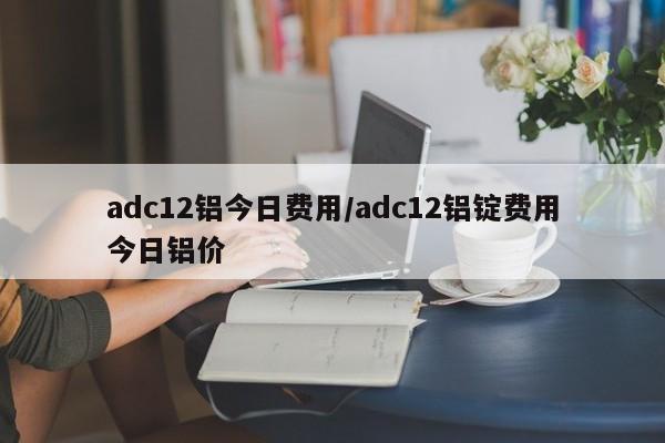 adc12铝今日费用/adc12铝锭费用今日铝价