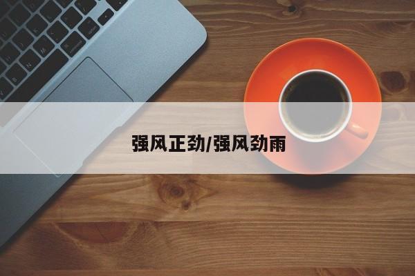 强风正劲/强风劲雨