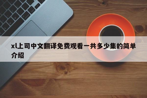 xl上司中文翻译免费观看一共多少集的简单介绍