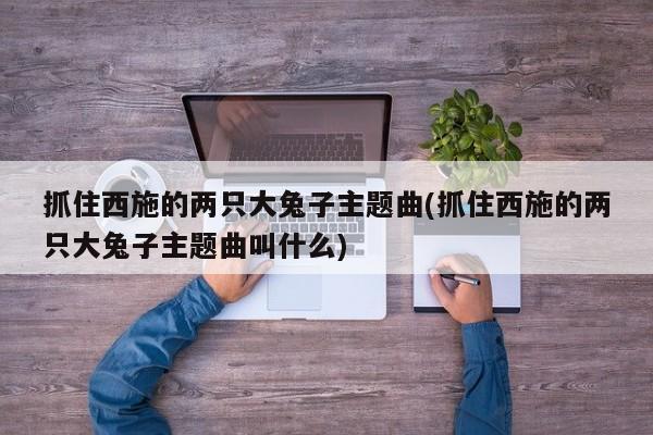 抓住西施的两只大兔子主题曲(抓住西施的两只大兔子主题曲叫什么)